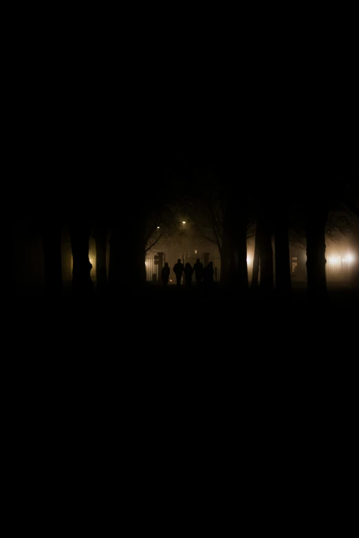 some trees at night and people standing on a path