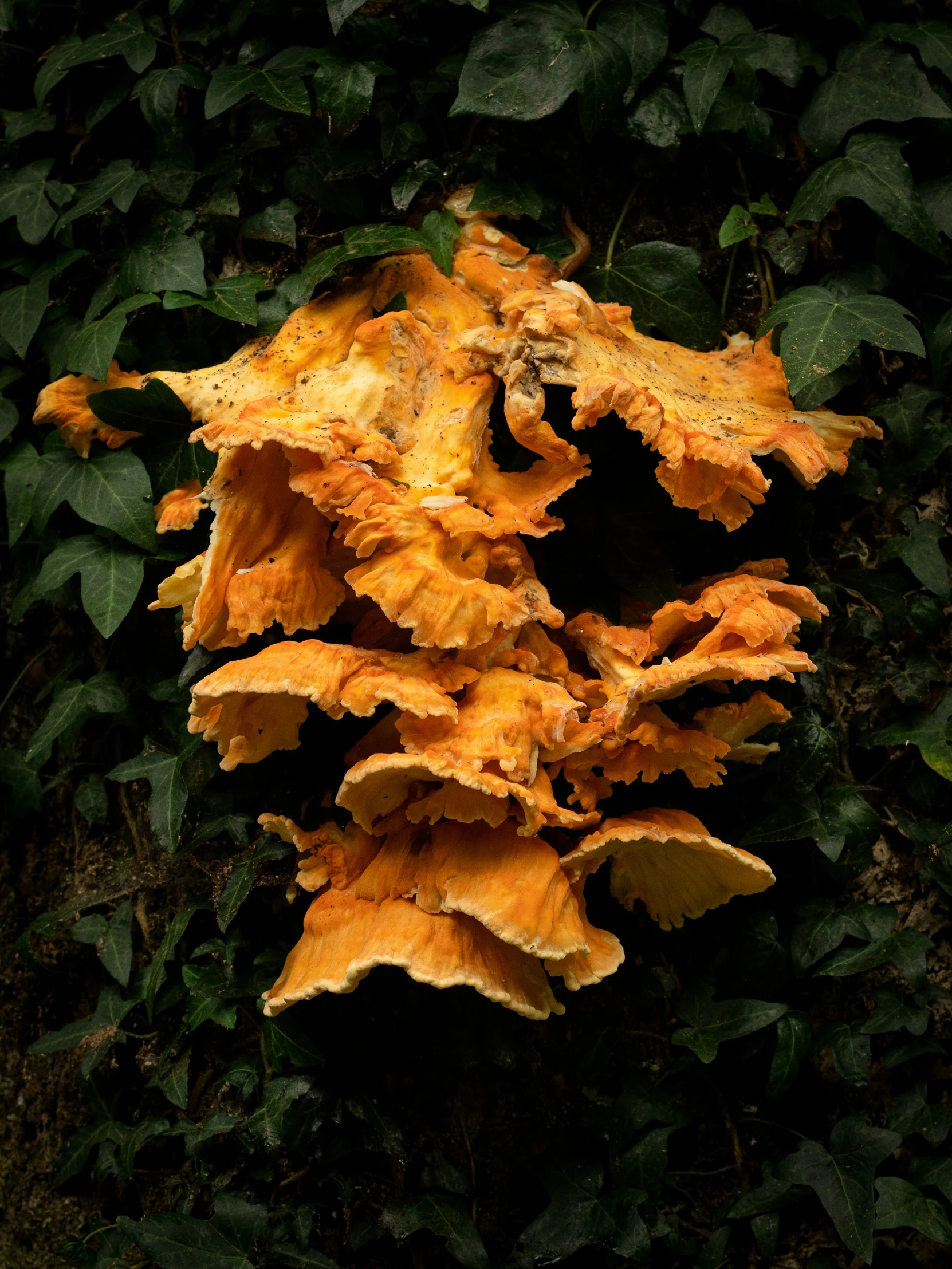a large pile of dry leaves and a bird bath