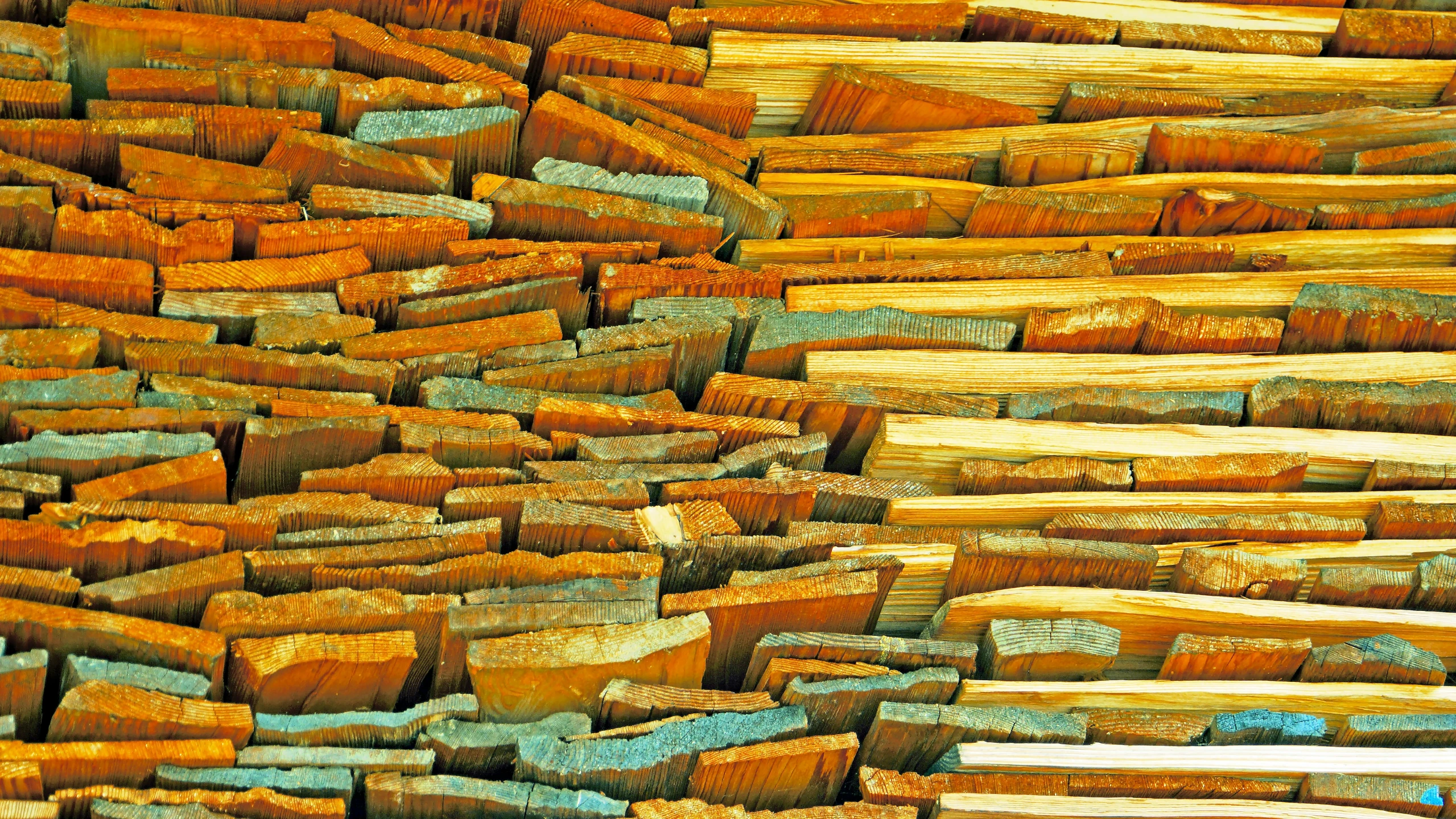 a pile of logs in a yard filled with wood