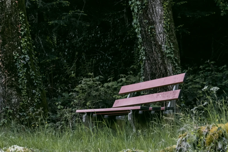 a pink wooden bench near some trees and grass