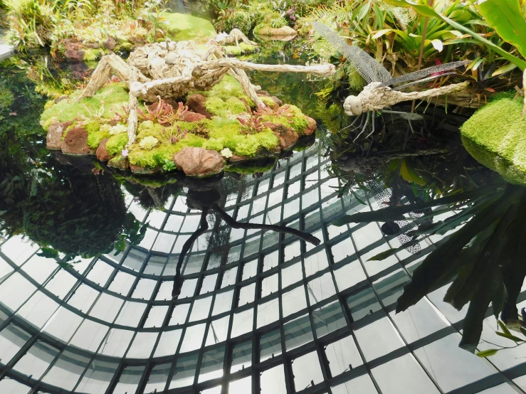 a pond and several trees and bushes inside a building