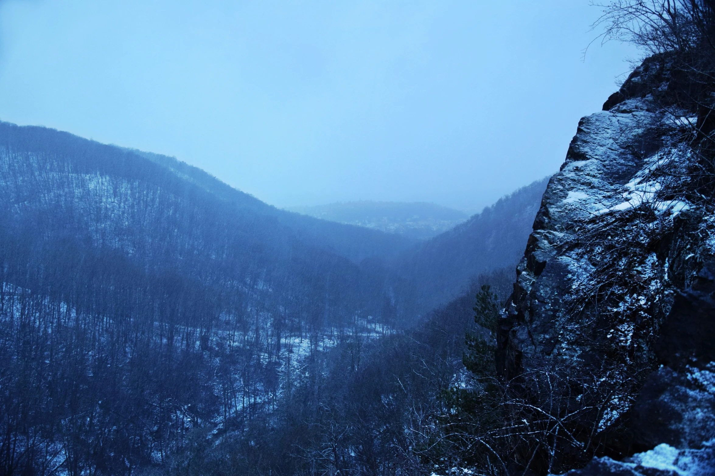 view of mountain with a snowy forest on the other side