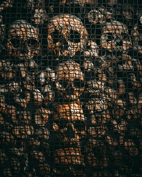 a po of an image of a person behind a mesh