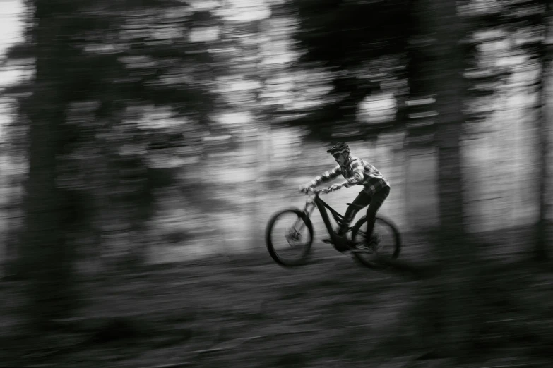 a person on a bike in the woods