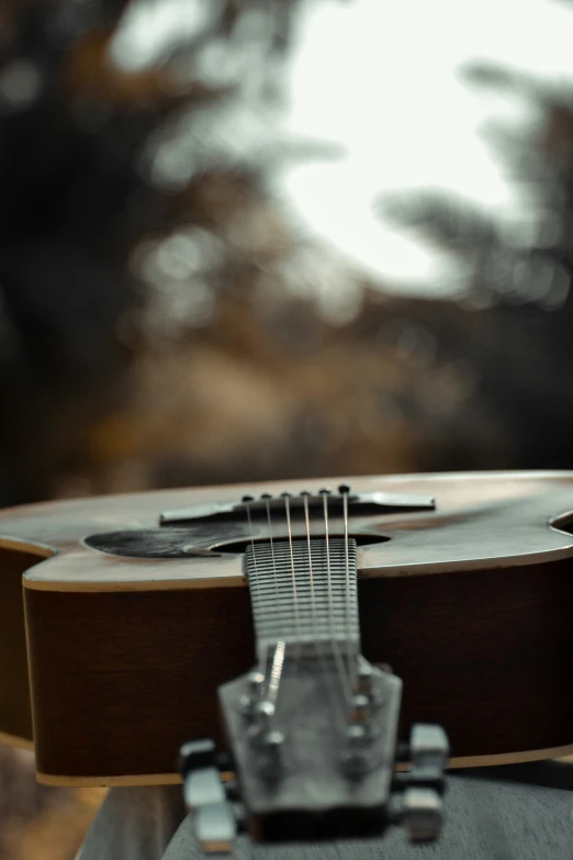 an acoustic guitar sitting up close, near trees