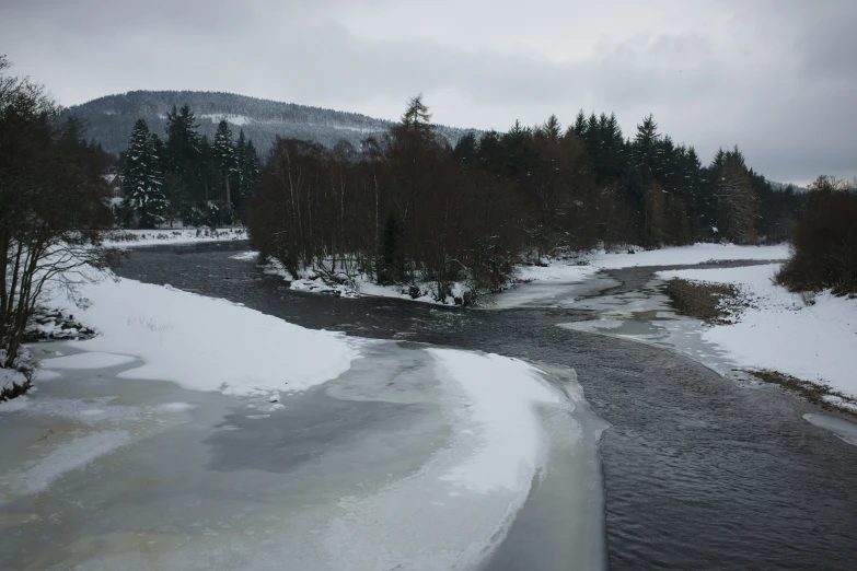 a stream surrounded by a snow covered forest