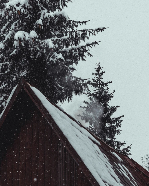 a tree in the snow behind a building