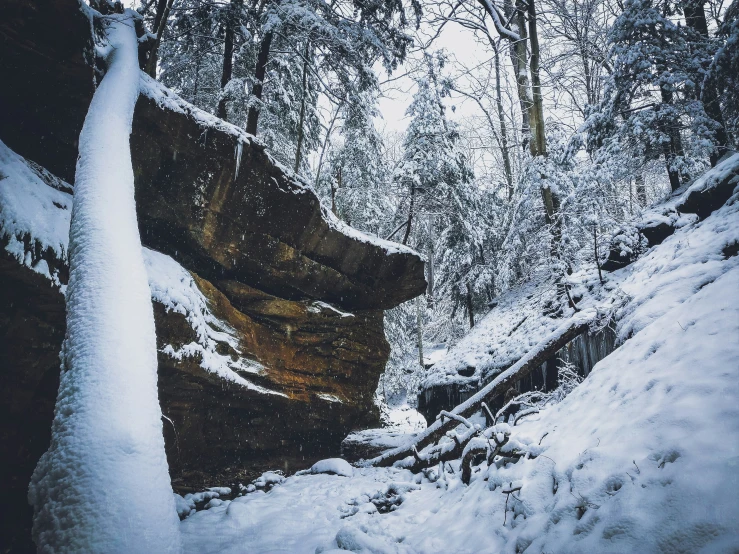 an image of a snowy forest setting with rocks