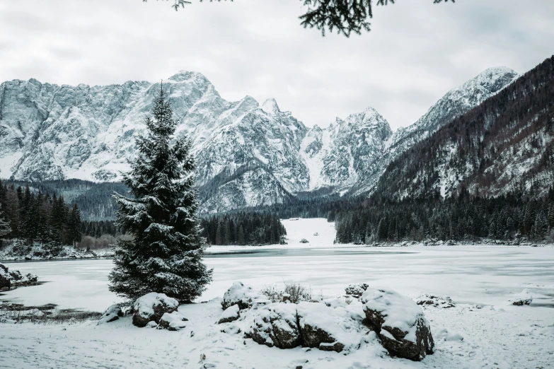 a landscape with mountains and some trees