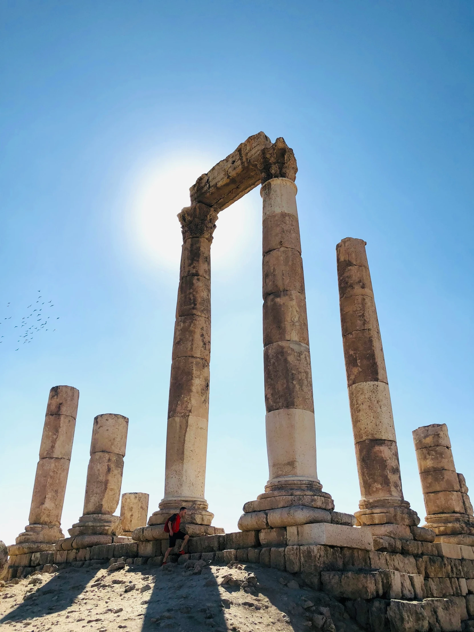 a large group of pillars are sitting on the ground