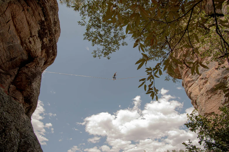 a bird perched on an electrical wire over some water