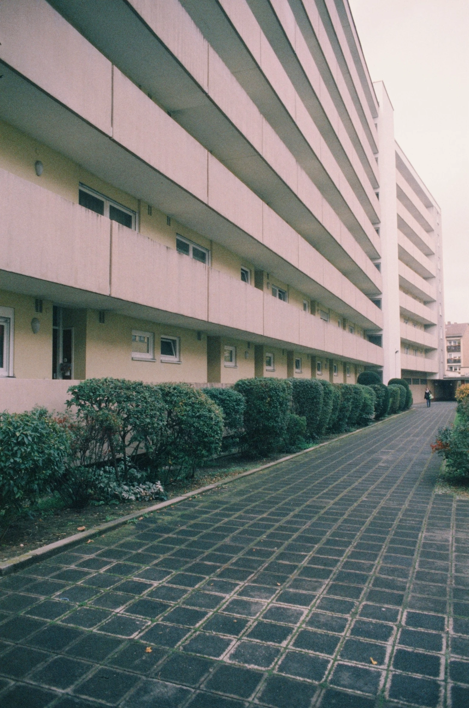 the buildings have two rows of windows with no curtains