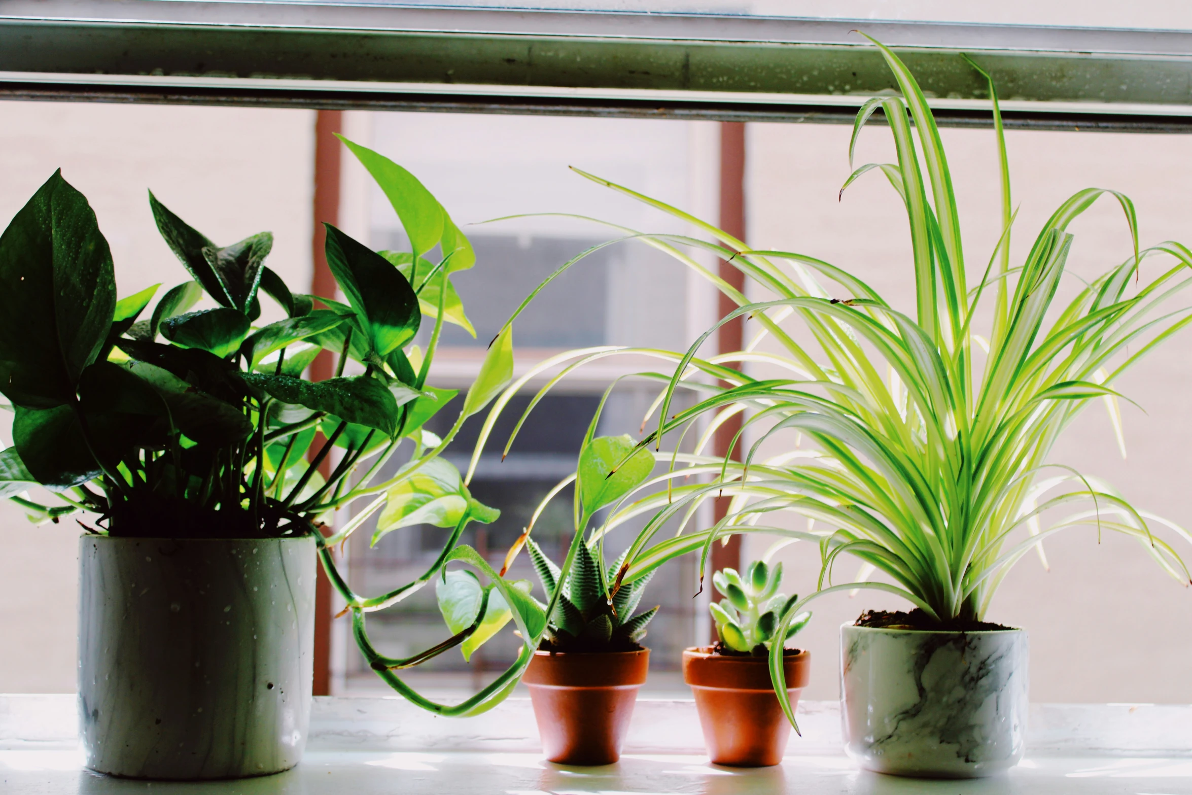 a white counter topped with four plant potted plants