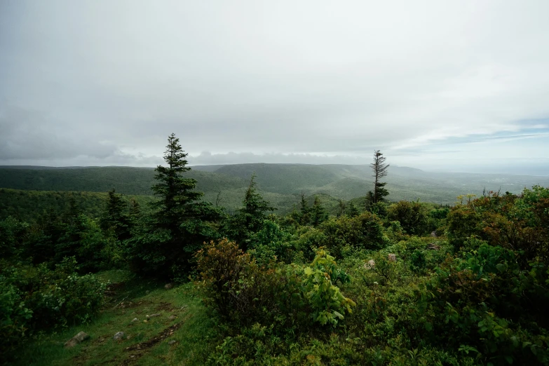 a very scenic view from the top of a hill