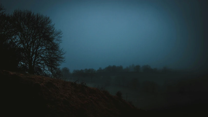 a hill and some trees on a foggy night