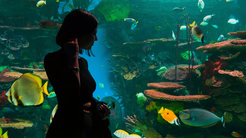 woman in front of aquarium looking at fish in an exhibit