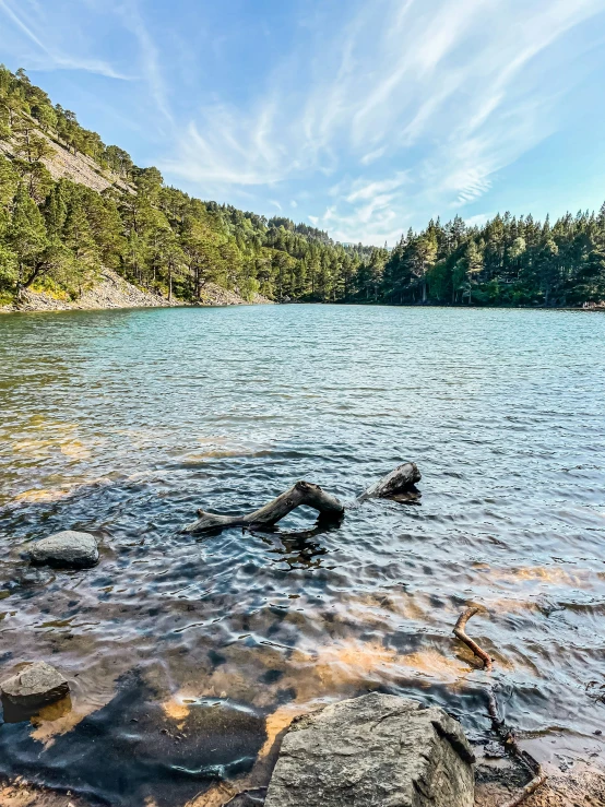 a lake with some rocks and trees surrounding