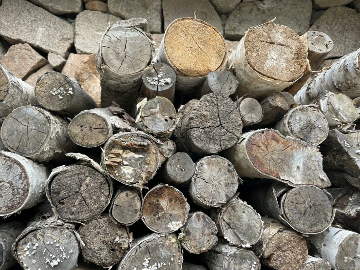 wood logs stacked up next to each other