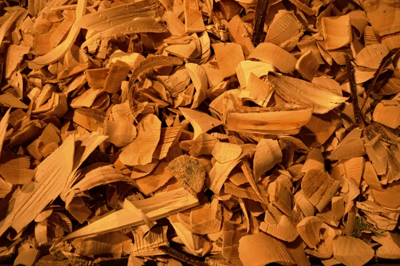 the wood shavings are brown and have a few more yellow leaves
