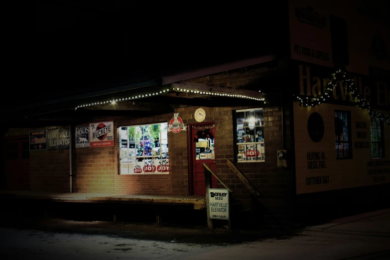 a small business with various lighted christmas lights