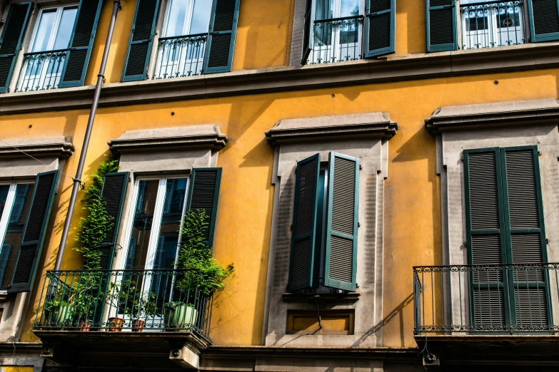 a tall yellow building with some green plants on the windows