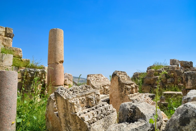 the ruins and trees in the background are full of grass