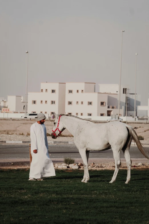 a woman and a man standing beside a white horse on the side of a road