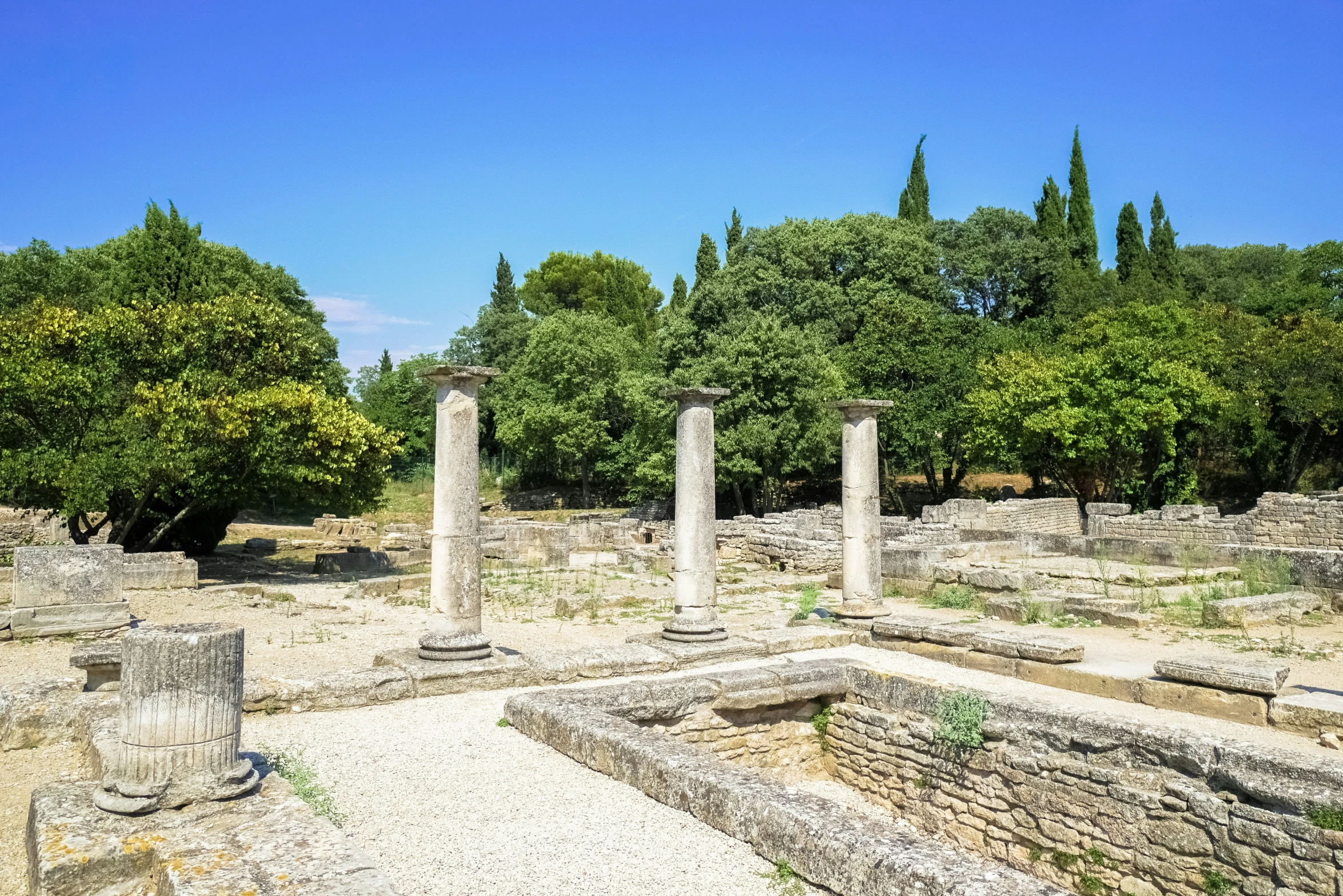 an ancient cemetery that has stones, trees and trees