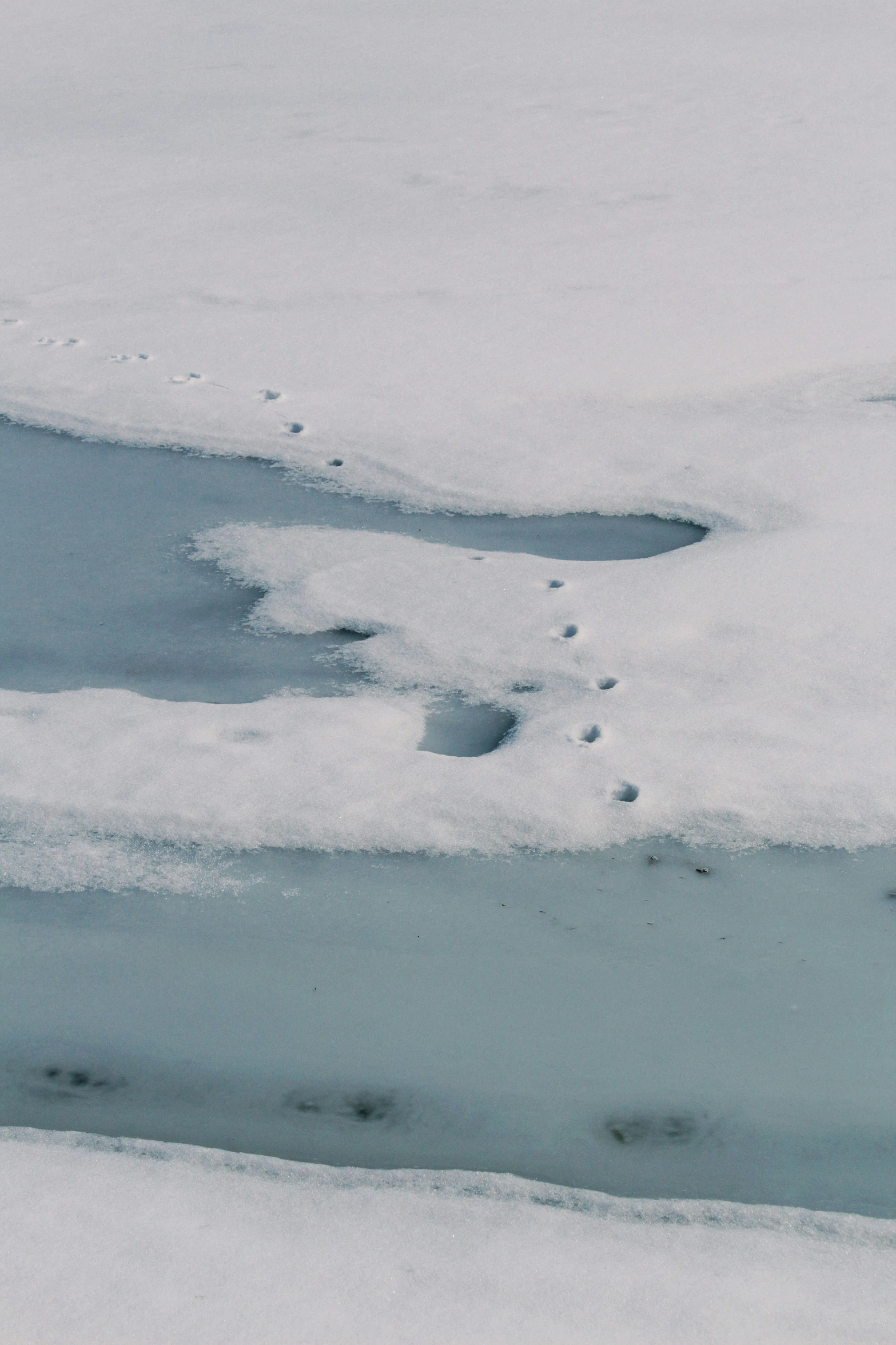 a po of the snow has been made with images