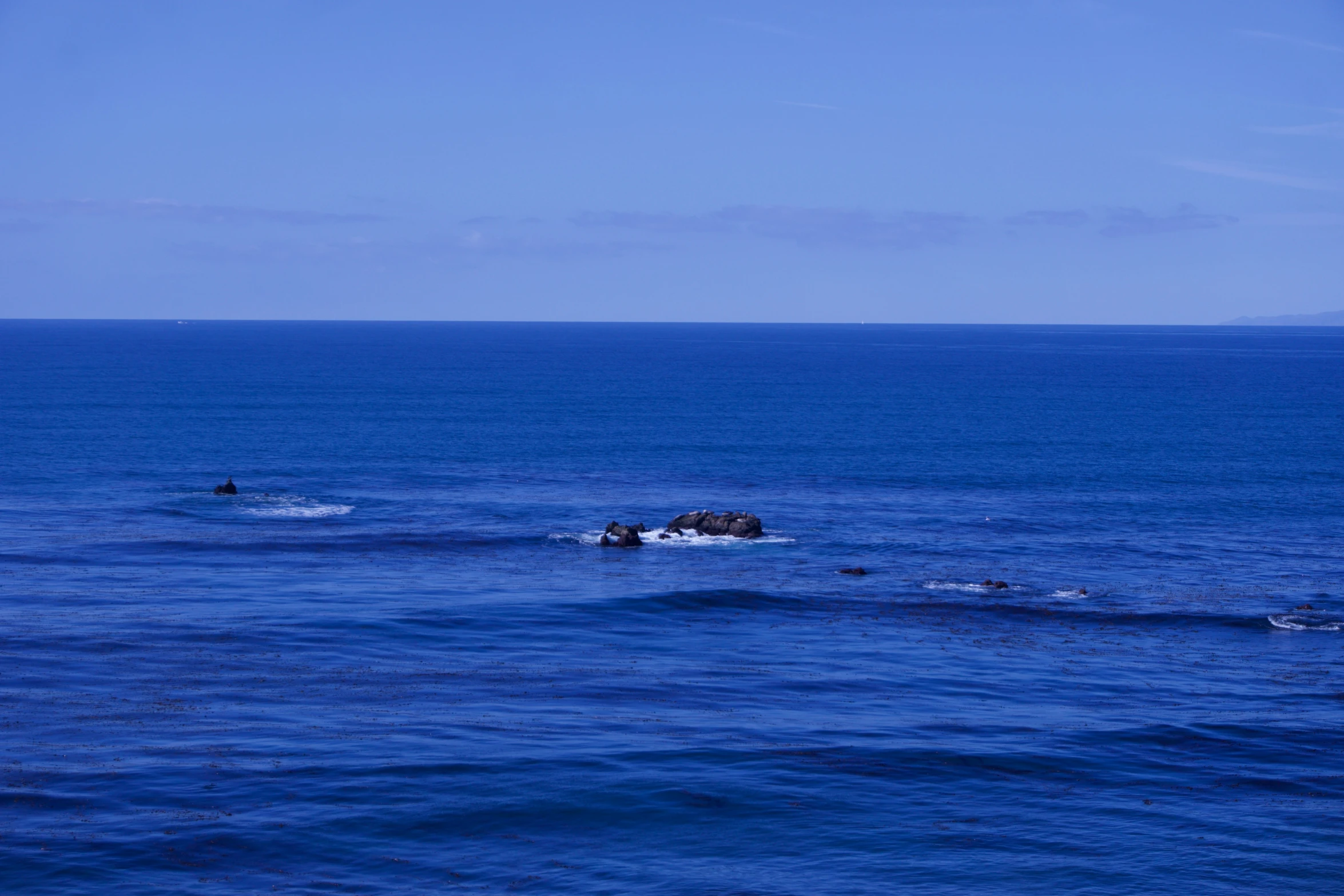 two people out in the ocean swimming