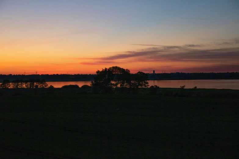 sunset, with silhouettes of trees on the horizon