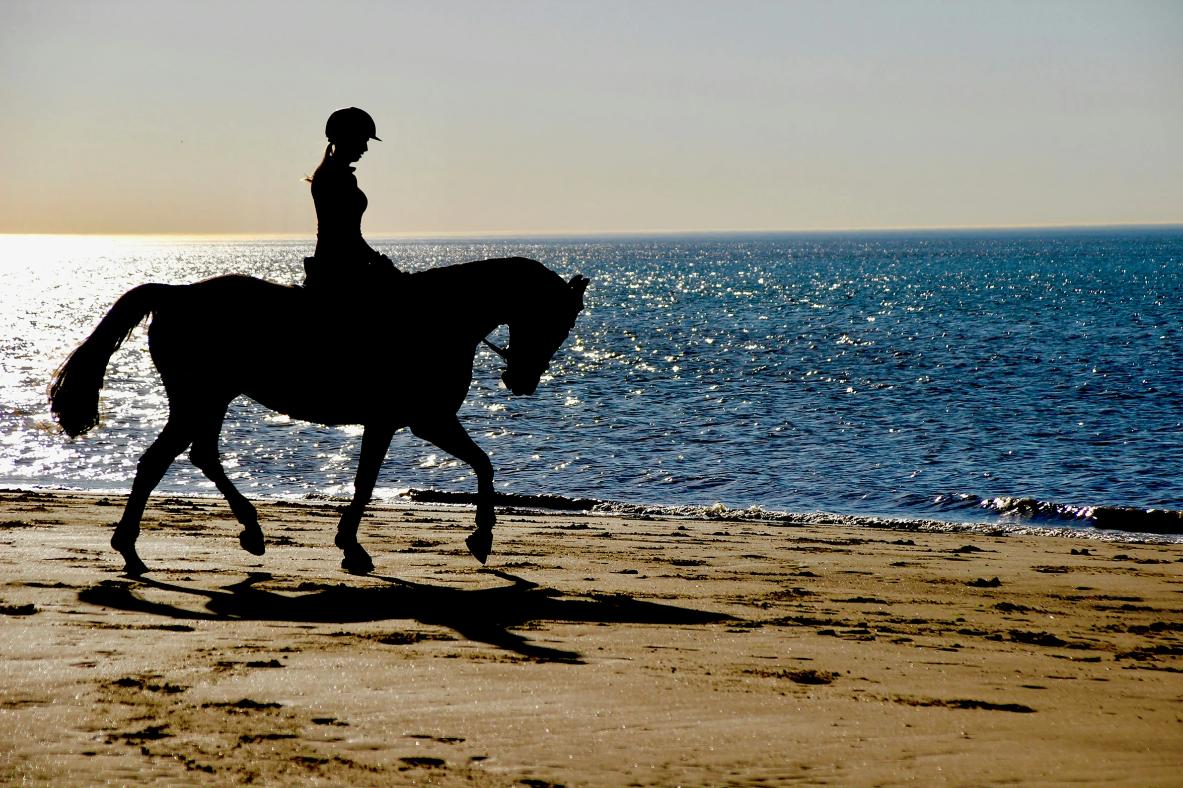 a person riding on the back of a horse on the beach