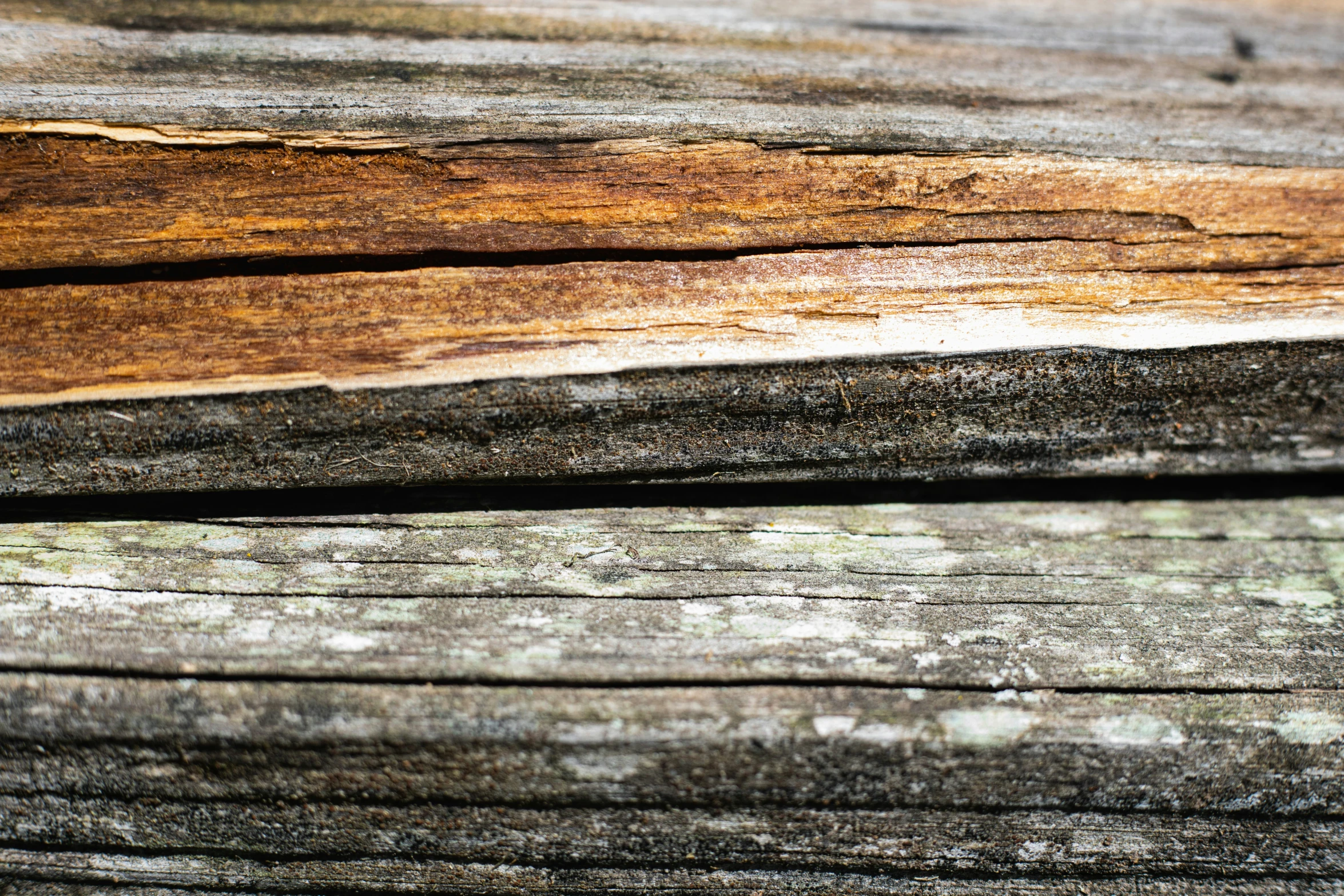 closeup po of some wood planks, including brown stains