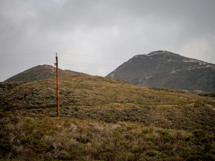 some green hills and a telephone pole on a hill