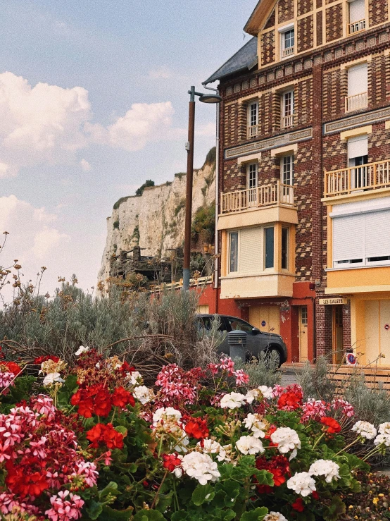 flowers are growing out of a flower bed in front of a building