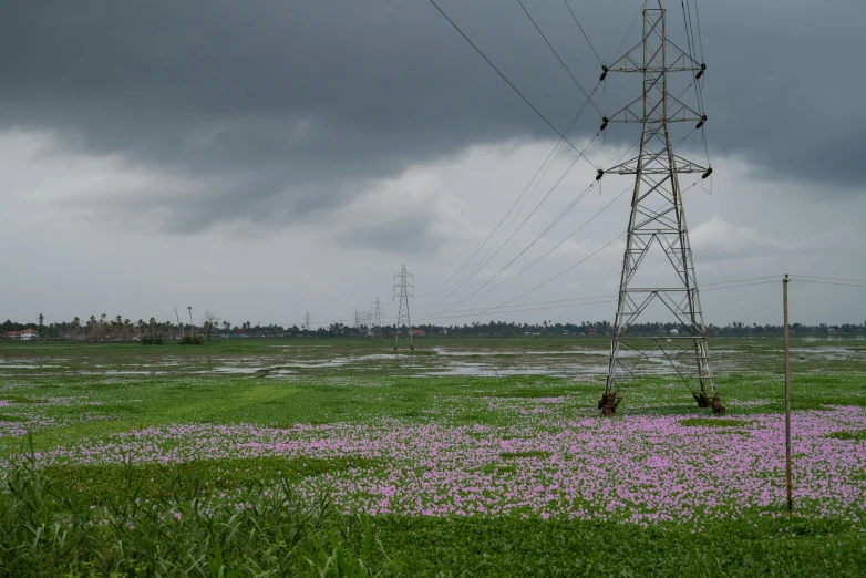 the power lines are at the end of a field