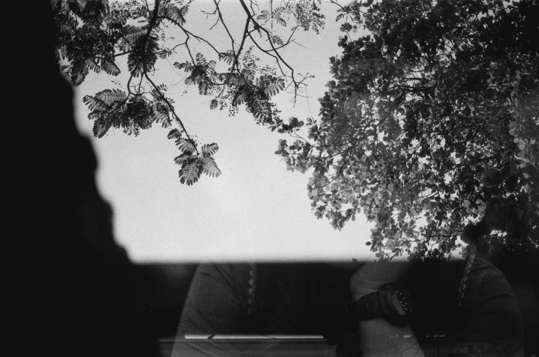 trees are silhouetted against the sky and a bench