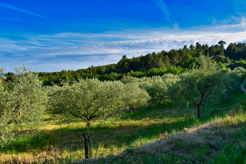 the sun is shining over the countryside in the summer