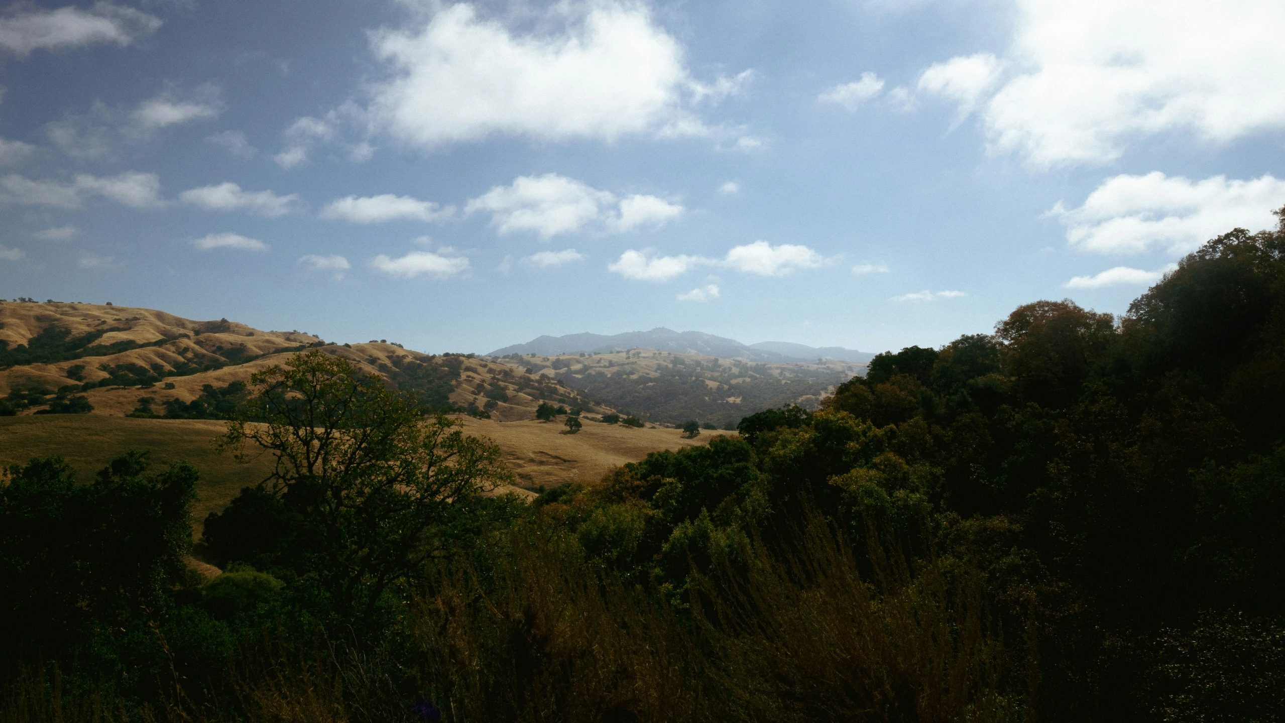 blue sky above field with many trees and hills in background