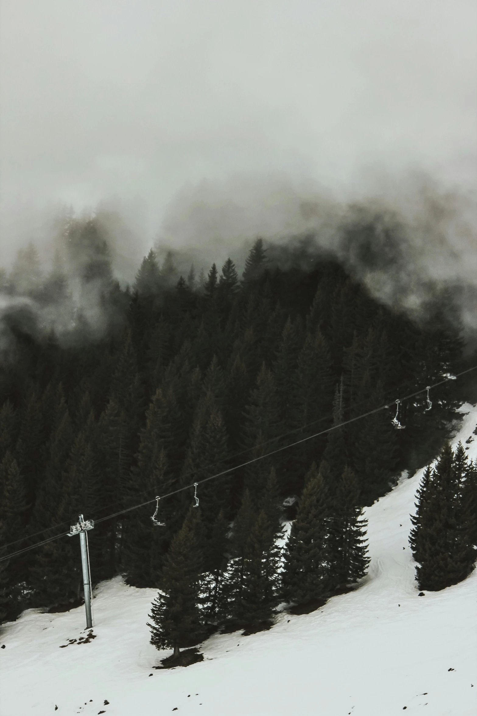 a snowy hill with trees on both sides