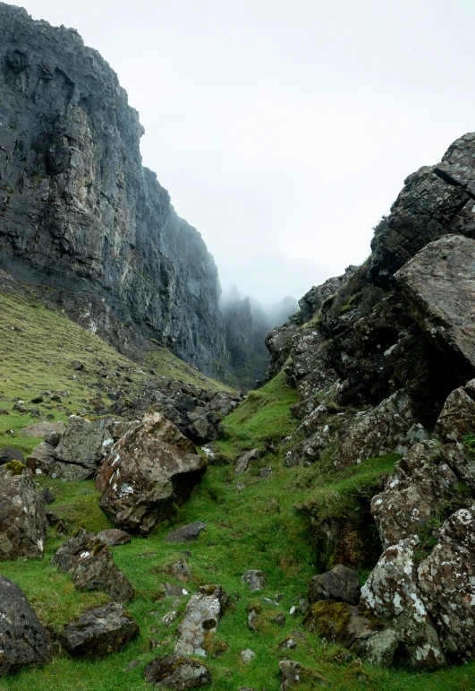 two sheep standing in the grass near some rocks