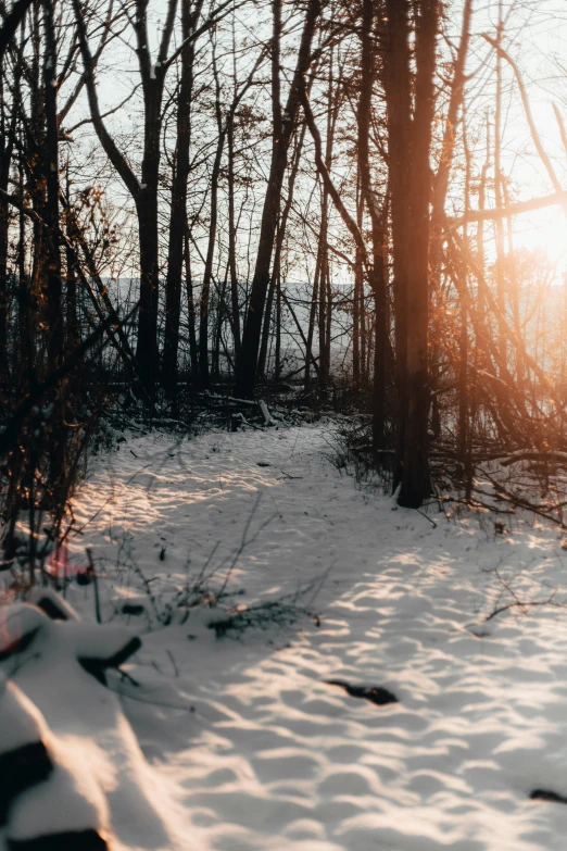 a snowy forest is seen at sunset with the sun peeking through the trees