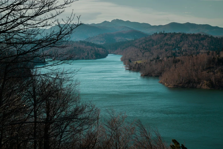 a body of water surrounded by mountains and forest