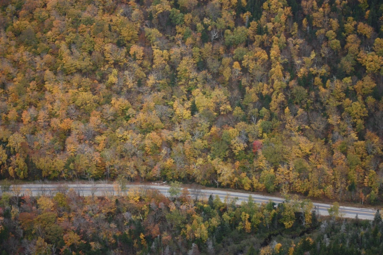 an aerial s of a winding road in the woods