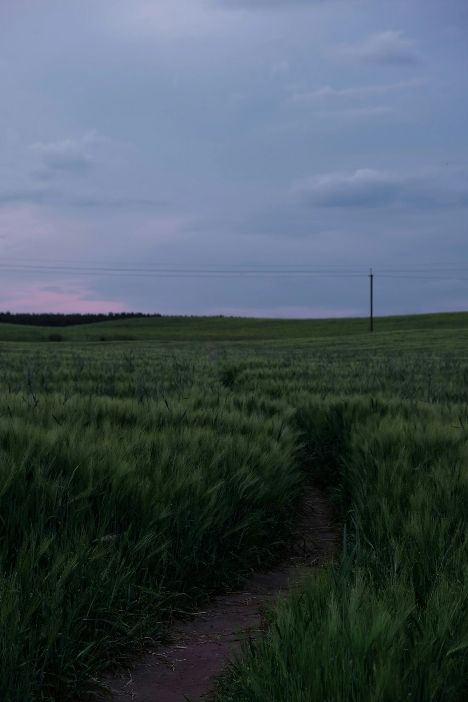 a field with an open road near some tall grass