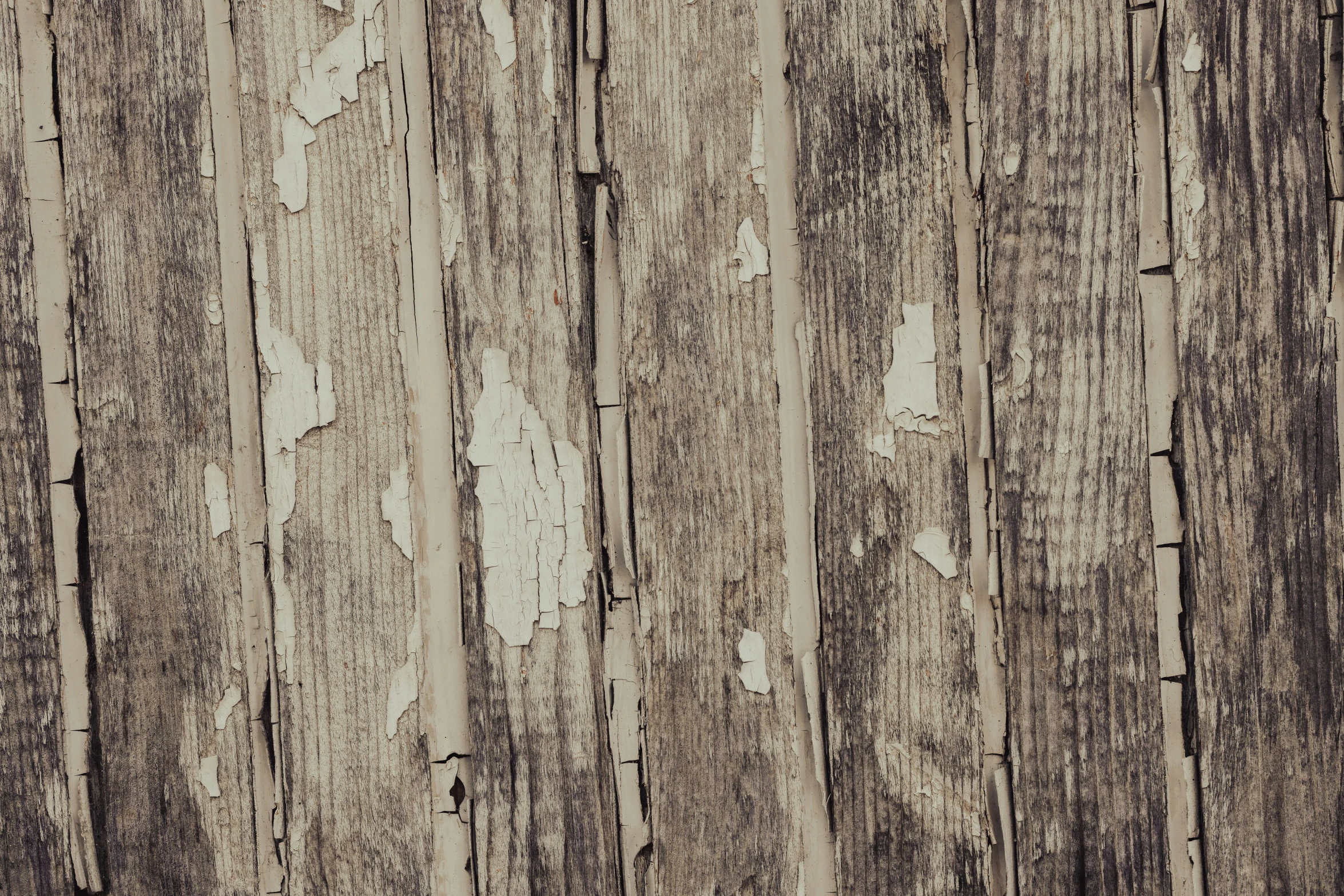 a background of peeling wood, possibly in olden days