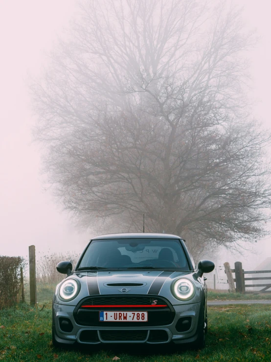 a car parked next to a tree in the fog