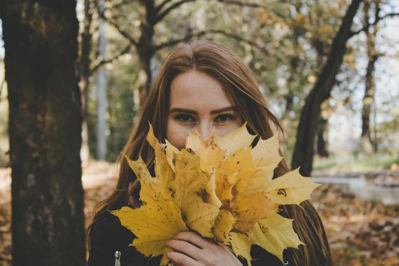 a beautiful woman holding a bunch of yellow leaves in the woods