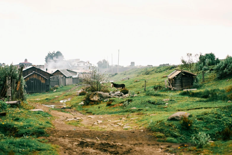 a dirt path in a green grassy area