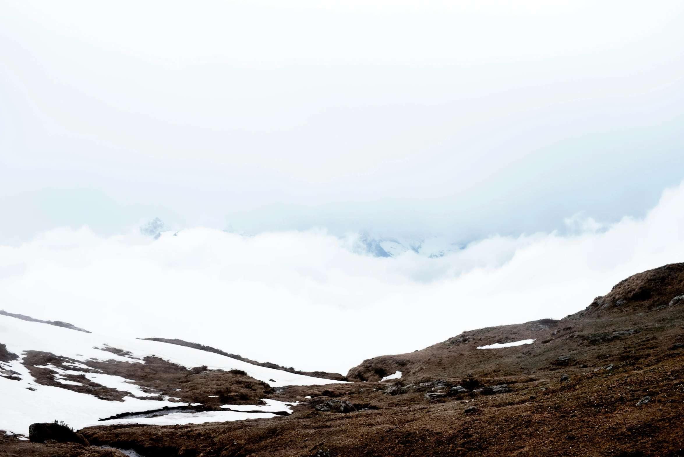 a group of sheep standing on top of a snow covered hill